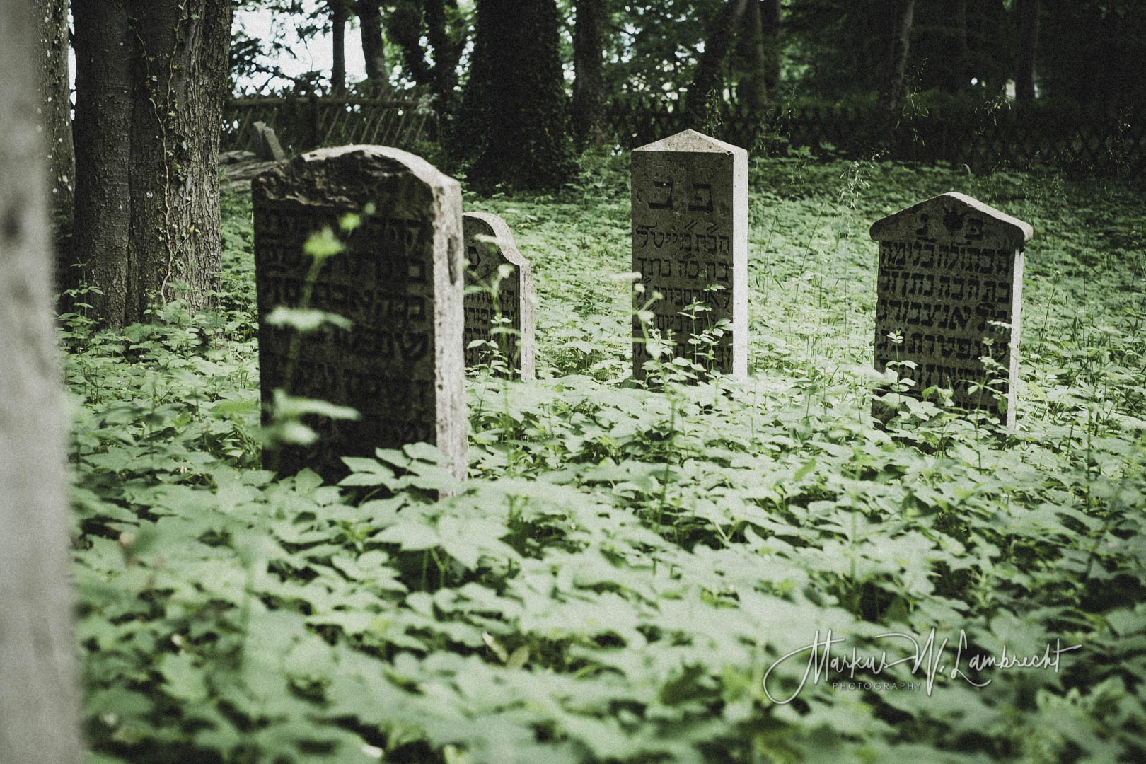 Niederhof (Sundhagen), Jüdischer Friedhof